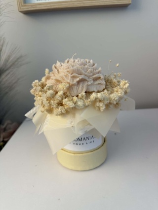 Mini Box Vanilia